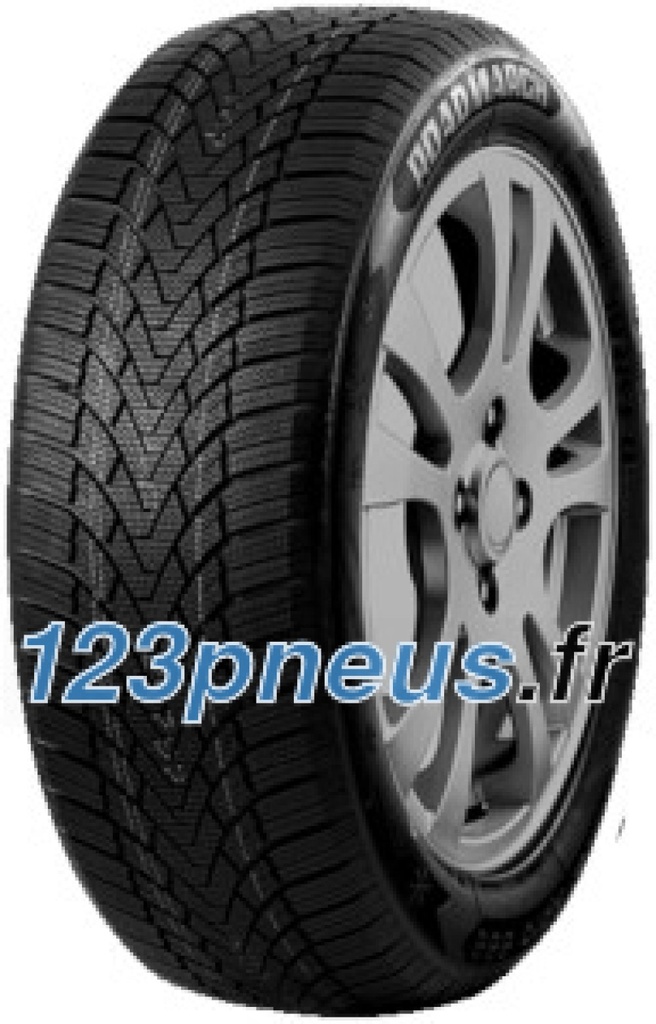 P245/35R20 Roadmarch WinterXPro 888